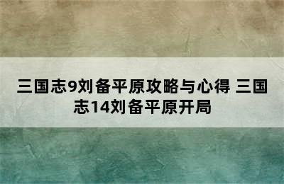 三国志9刘备平原攻略与心得 三国志14刘备平原开局